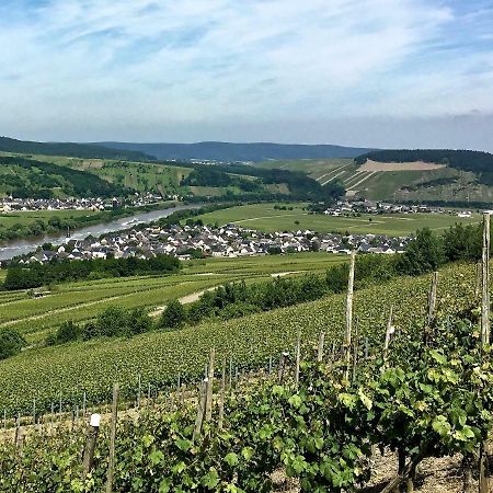 Farschweiler Gaestehaus Hoffmann المظهر الخارجي الصورة