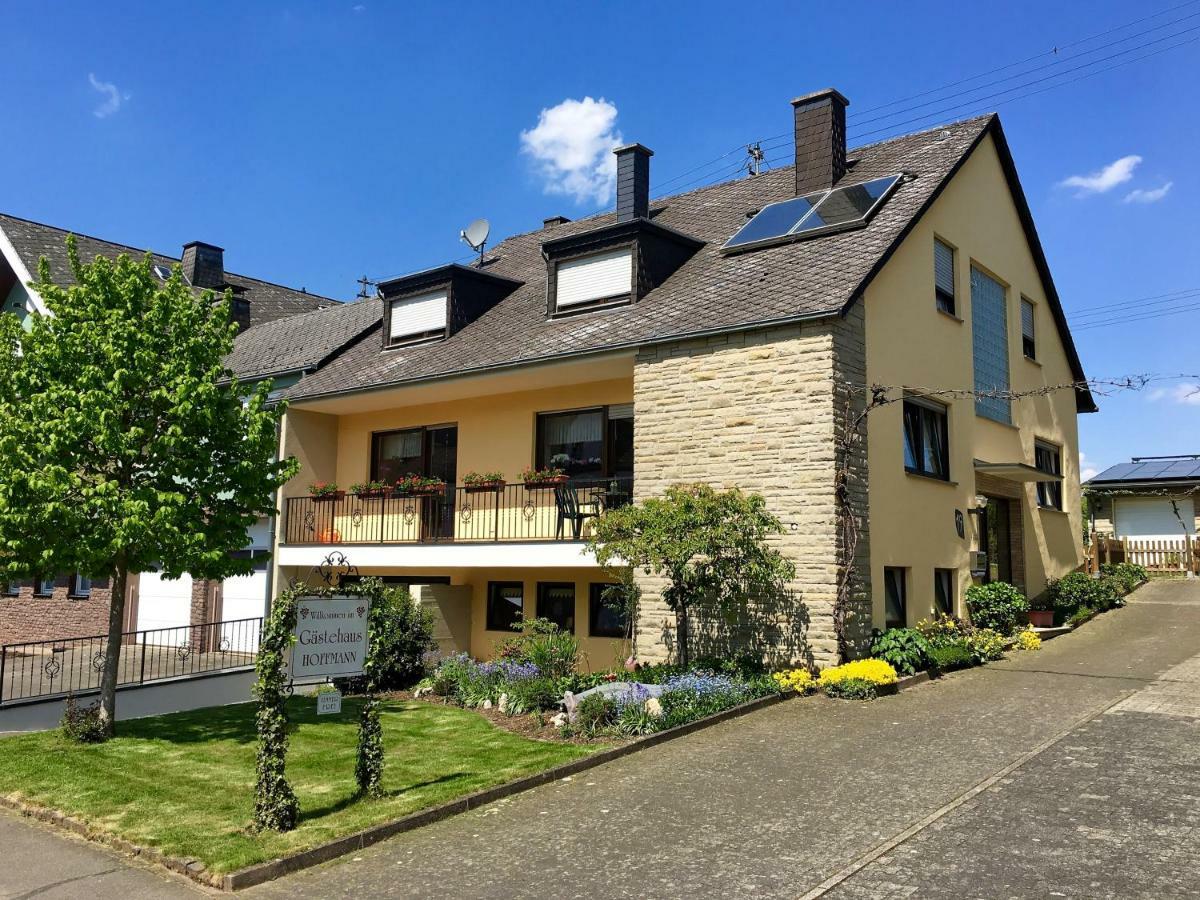 Farschweiler Gaestehaus Hoffmann المظهر الخارجي الصورة
