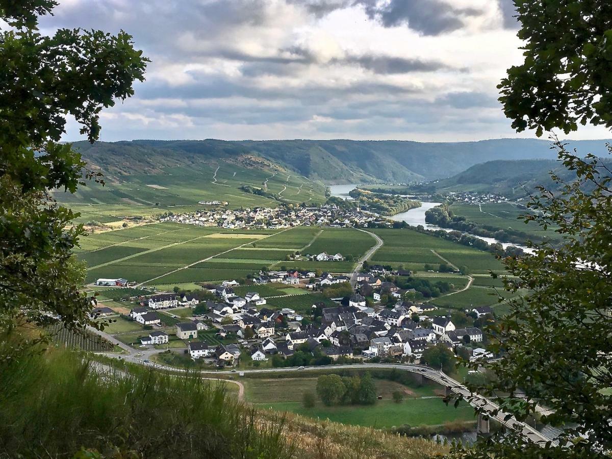 Farschweiler Gaestehaus Hoffmann المظهر الخارجي الصورة